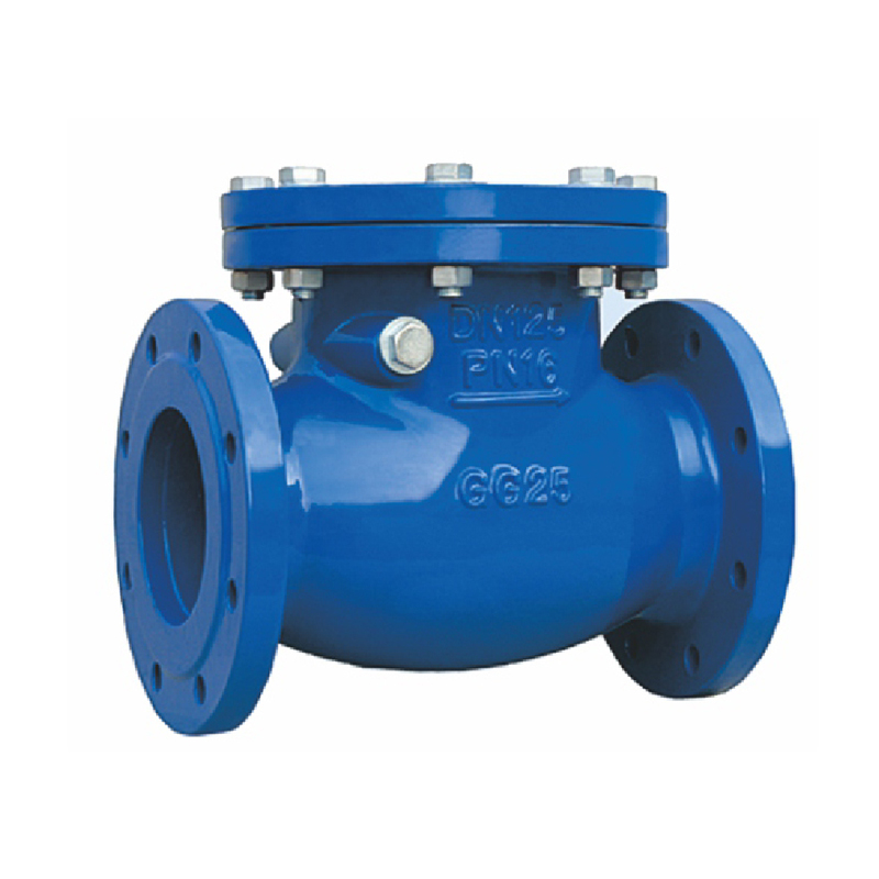 شیرهای فیلتر کننده (Check Valves)